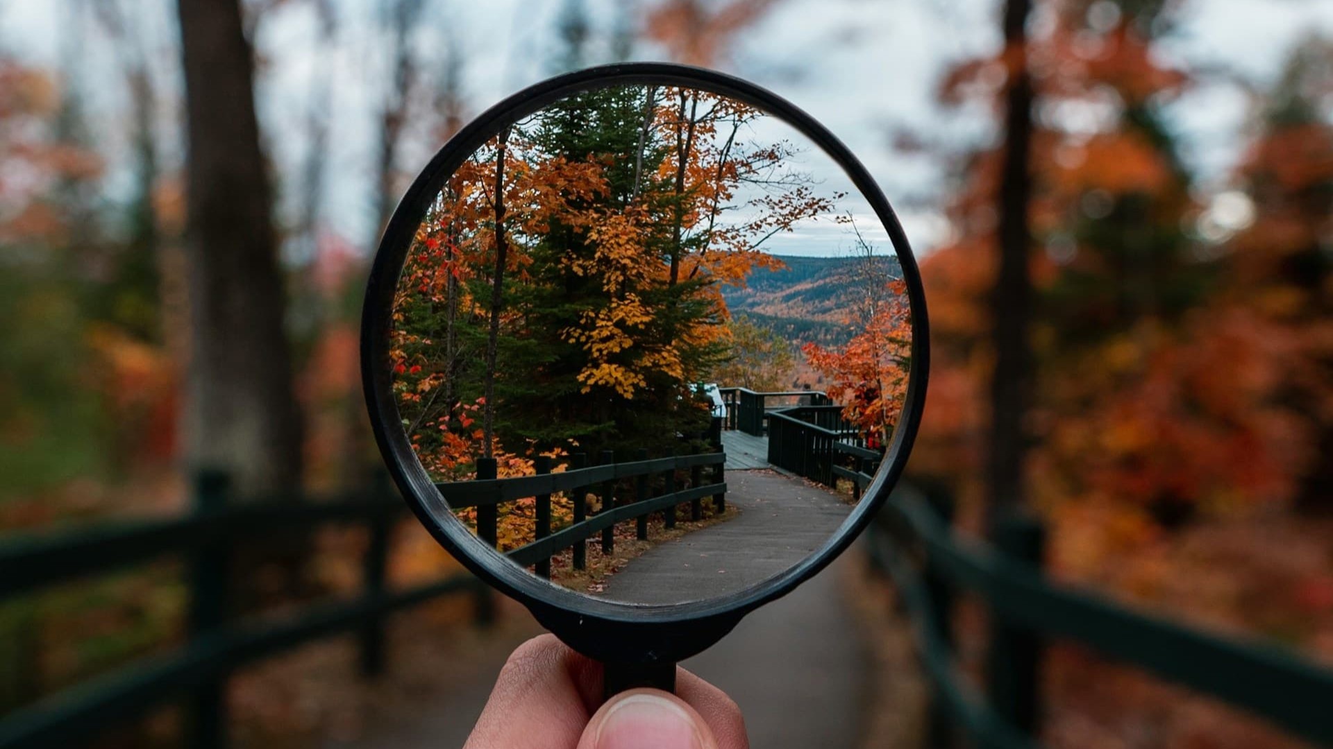 穴場探しコミュニティ(仮)